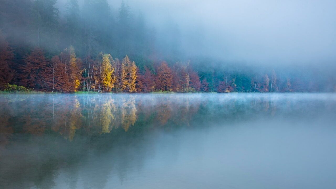 Lago en calma con niebla y árboles de otoño en la orilla